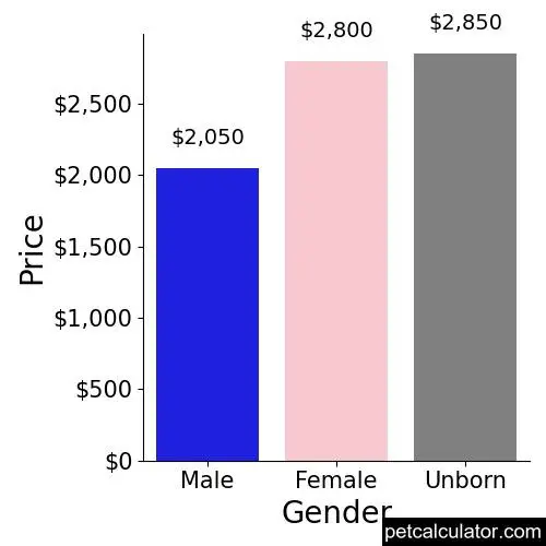 Price of Bernese Mountain Dog by Gender 