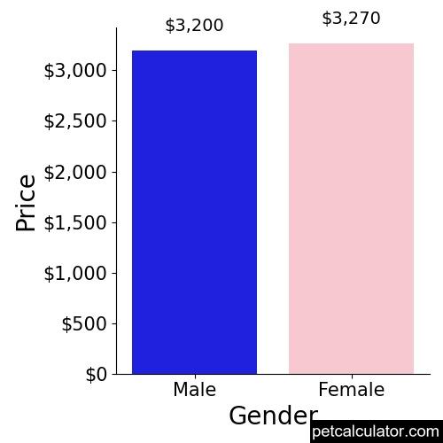 Price of Bernese Water Dog by Gender 