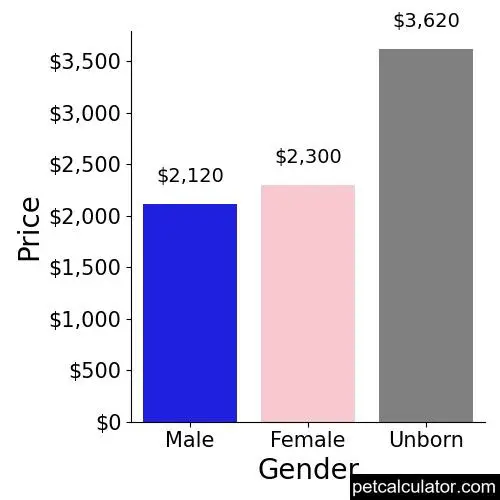 Price of Bich Poo by Gender 