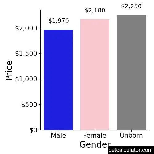 Price of Bichon Frise by Gender 