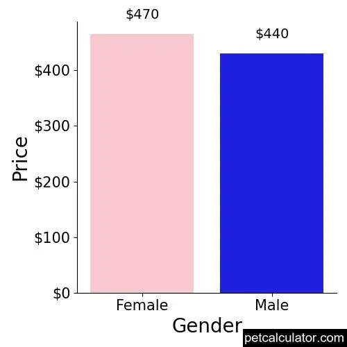 Price of Black and Tan Coonhound by Gender 