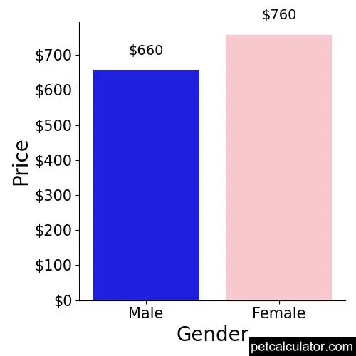 Price of Black Mouth Cur by Gender 