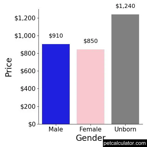 Price of Bloodhound by Gender 