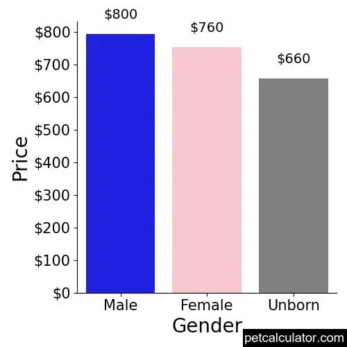 Price of Bluetick Coonhound by Gender 