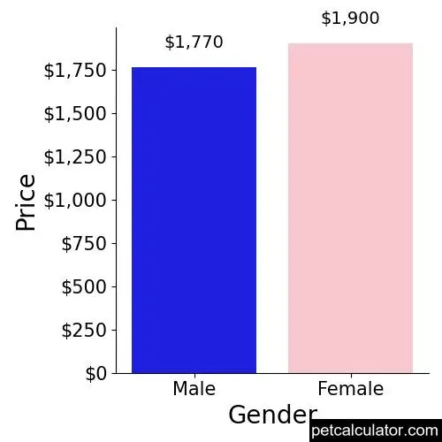 Price of Bolognese by Gender 