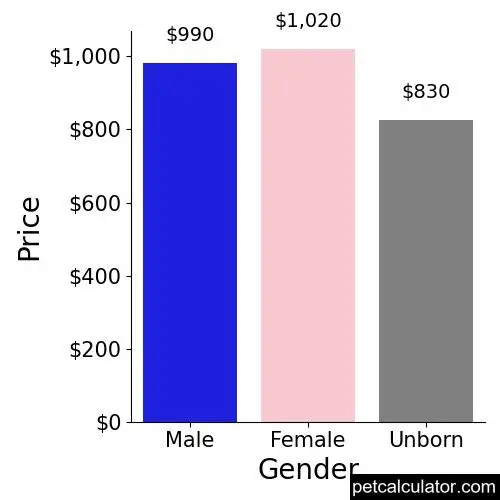 Price of Border Collie by Gender 