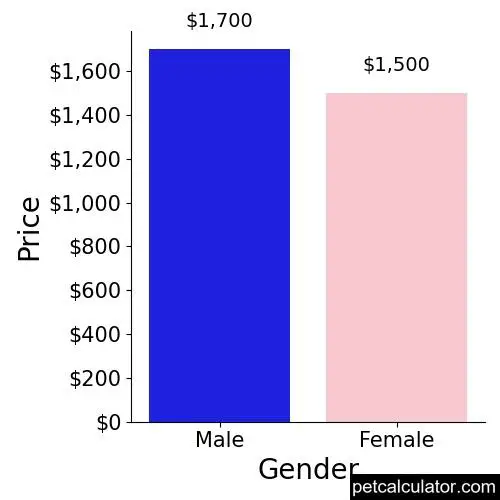 Price of Borzoi by Gender 