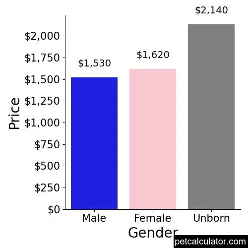 Price of Boston Terrier by Gender 