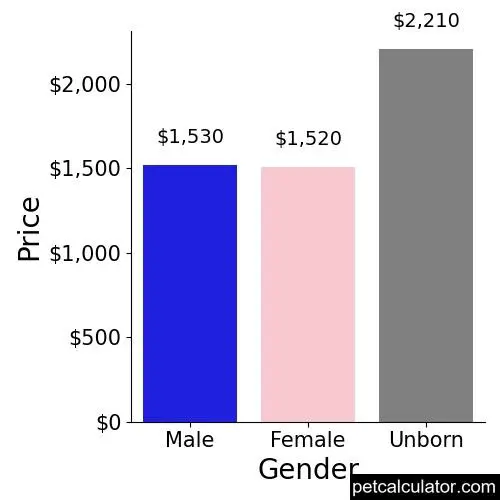 Price of Boxer by Gender 