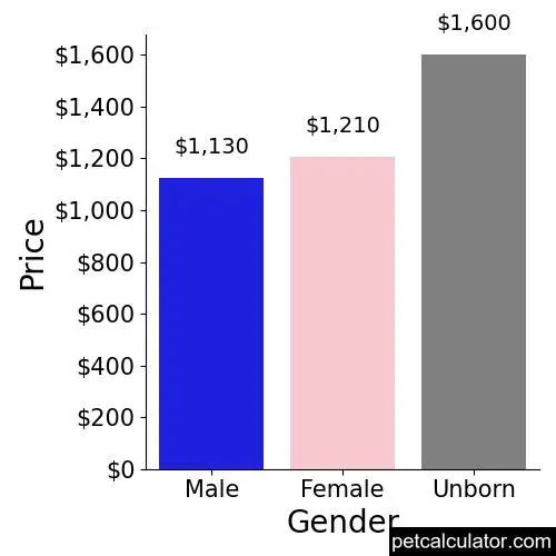 Price of Boykin Spaniel by Gender 