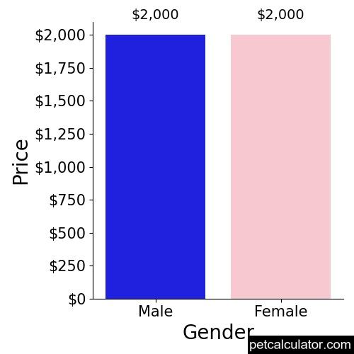 Price of Braque Francais by Gender 