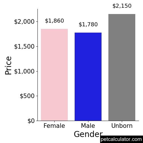 Price of Bull Terrier by Gender 