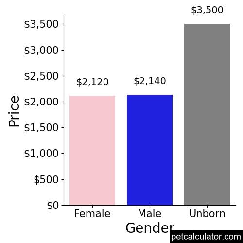 Price of Bullmastiff by Gender 