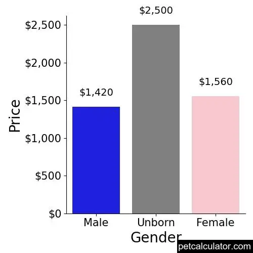 Price of Cairn Terrier by Gender 