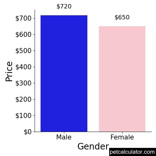 Price of Cairnoodle by Gender 