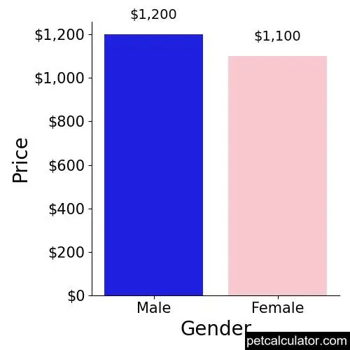 Price of Canis Panther by Gender 