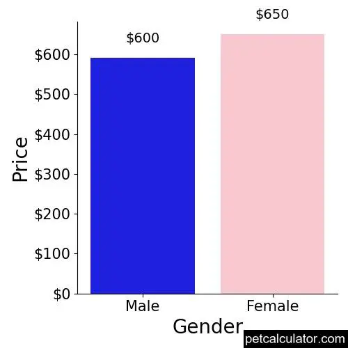 Price of Carlin Pinscher by Gender 