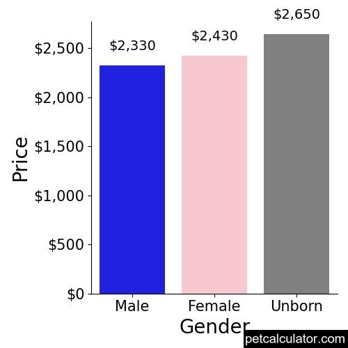 Price of Cavapoo by Gender 