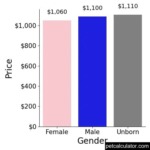 Price of Chesapeake Bay Retriever by Gender 