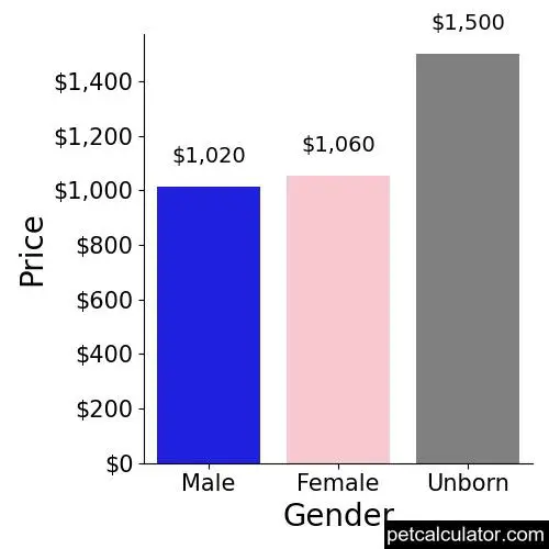Price of Chi-Poo by Gender 
