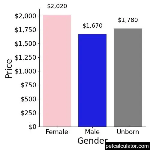 Price of Chihuahua by Gender 