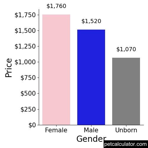 Price of Chinese Shar-Pei by Gender 