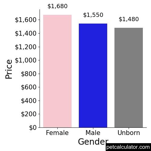 Price of Chow Chow by Gender 