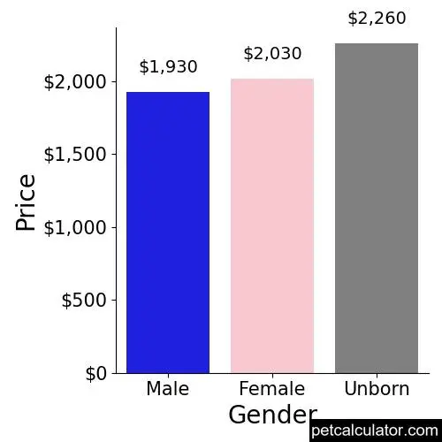 Price of Cockapoo by Gender 