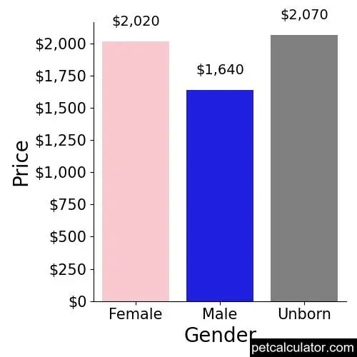 Price of Cocker Spaniel by Gender 
