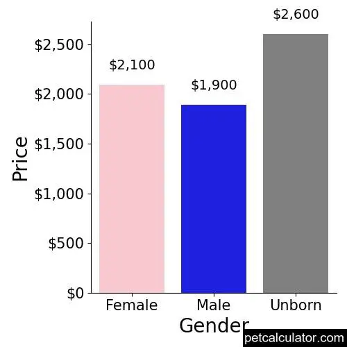 Price of Coton de Tulear by Gender 