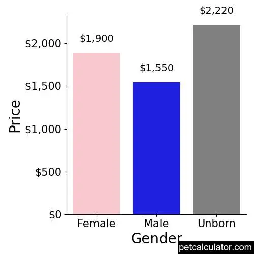 Price of Dachshund by Gender 