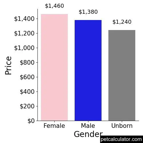 Price of Dalmatian by Gender 