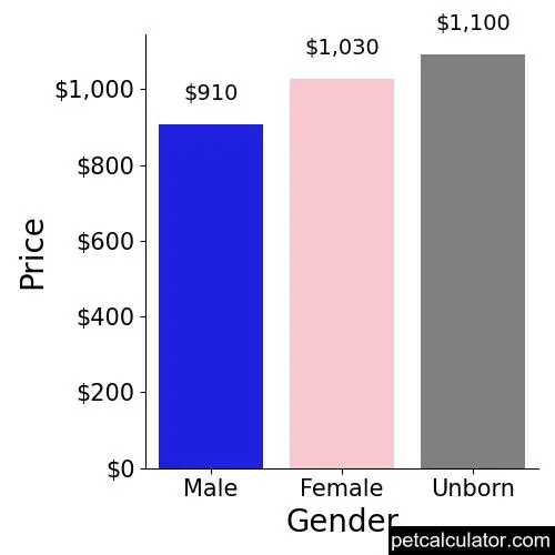Price of Designer Breed Large by Gender 