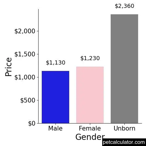 Price of Designer Breed Small by Gender 