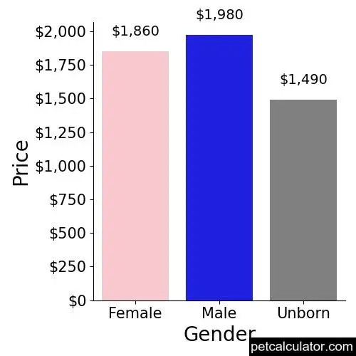 Price of Doberman Pinscher by Gender 