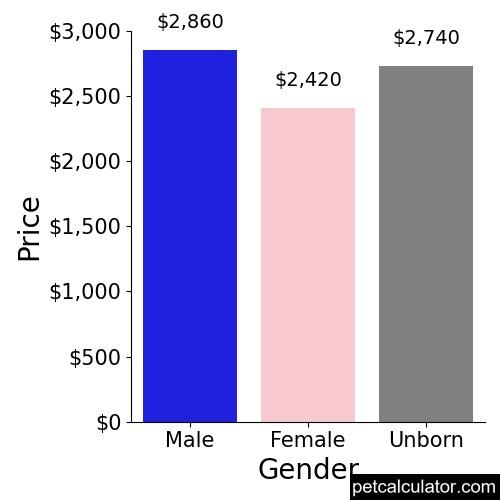 Price of Dogo Argentino by Gender 