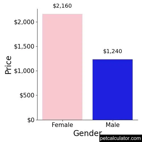 Price of Doodleman Pinscher by Gender 