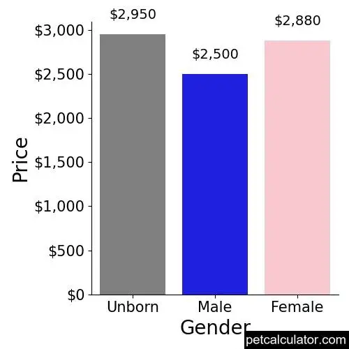 Price of English Golden Retrievers by Gender 