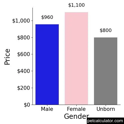 Price of English Setter by Gender 