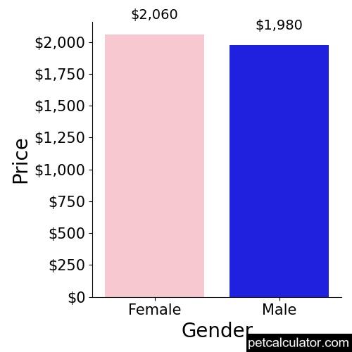 Price of Entlebucher Mountain Dog by Gender 