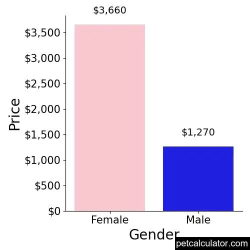 Price of Field Spaniel by Gender 