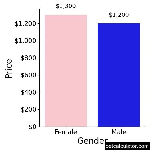 Price of Flat-Coated Retriever by Gender 