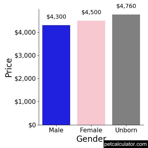 Price of French Bulldog by Gender 