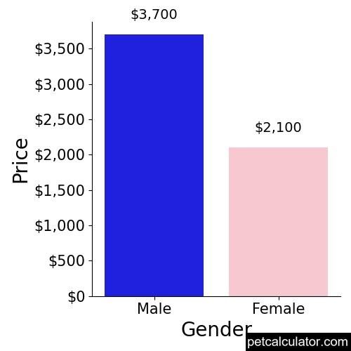 Price of French Spaniel by Gender 