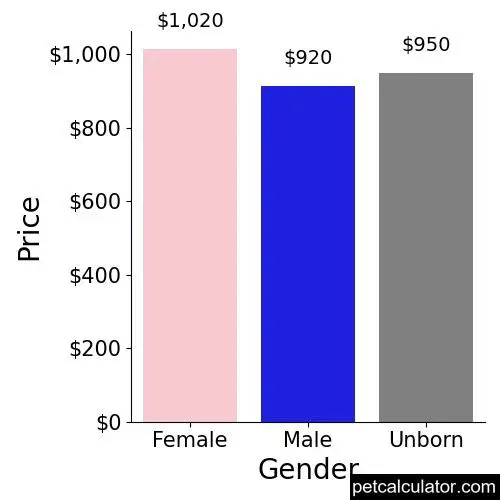 Price of German Wirehaired Pointer by Gender 