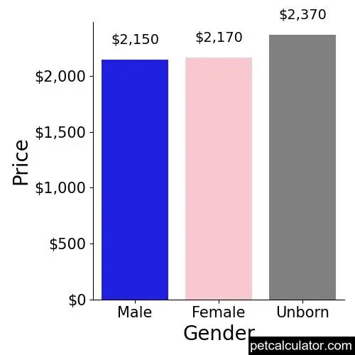 Price of Goldendoodle by Gender 