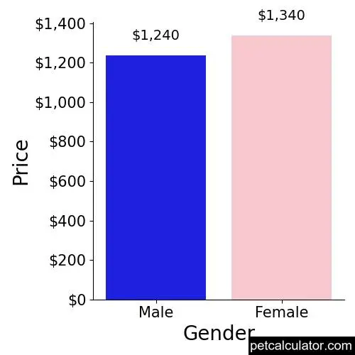 Price of Gordon Setter by Gender 
