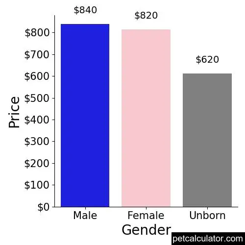 Price of Great Pyrenees by Gender 