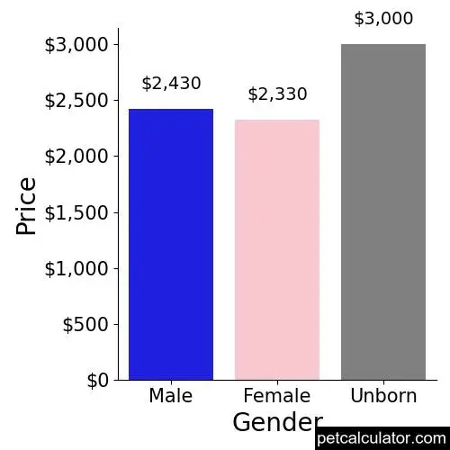 Price of Greater Swiss Mountain Dog by Gender 