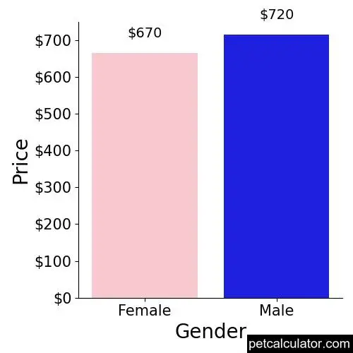 Price of Greyhound by Gender 
